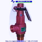 Safety relief valve size 1/2